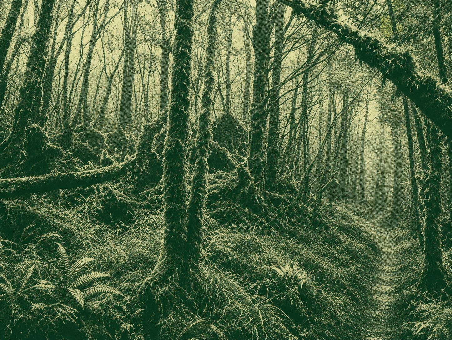 Samsung Mountain Hiking Trail